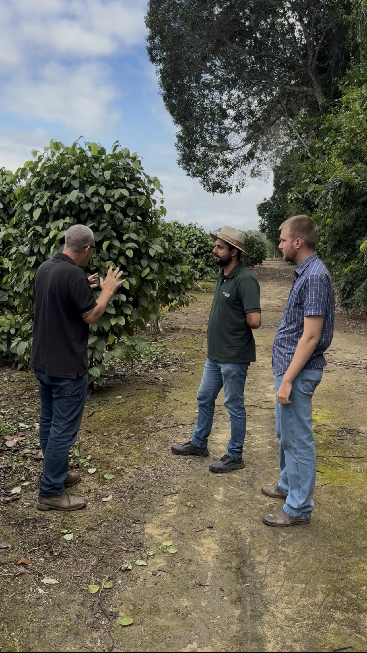 Experiência prática da Erasmo Agro no campo — imagem 22 de 38